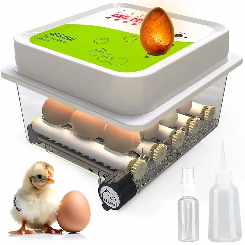 Incubadora de huevos de gallina